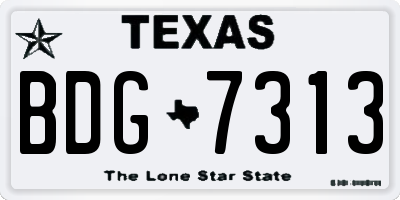 TX license plate BDG7313