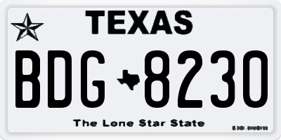 TX license plate BDG8230