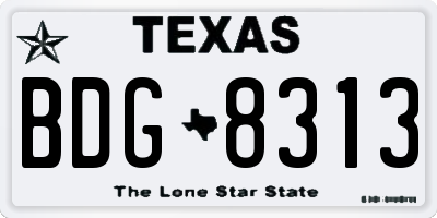 TX license plate BDG8313