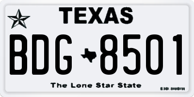 TX license plate BDG8501