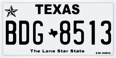 TX license plate BDG8513