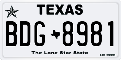 TX license plate BDG8981