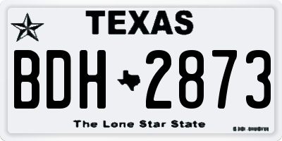 TX license plate BDH2873