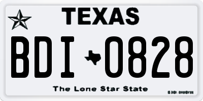 TX license plate BDI0828