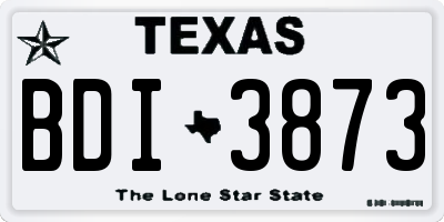 TX license plate BDI3873