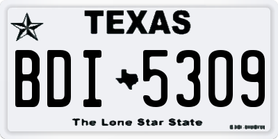 TX license plate BDI5309