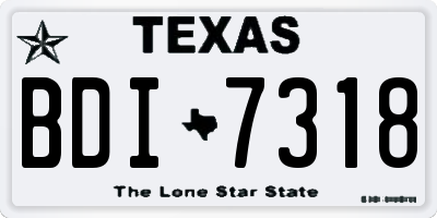 TX license plate BDI7318