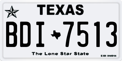 TX license plate BDI7513