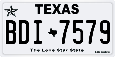 TX license plate BDI7579