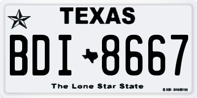 TX license plate BDI8667