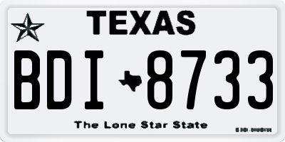 TX license plate BDI8733