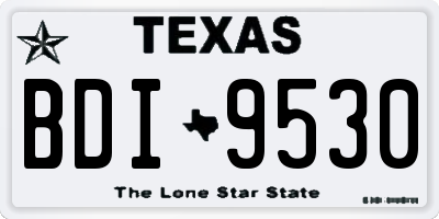 TX license plate BDI9530