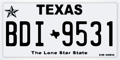 TX license plate BDI9531