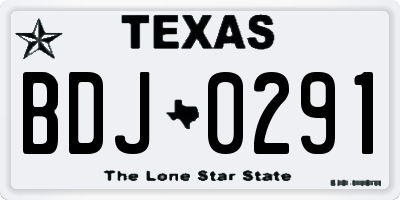 TX license plate BDJ0291