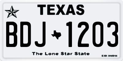 TX license plate BDJ1203
