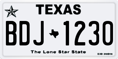 TX license plate BDJ1230