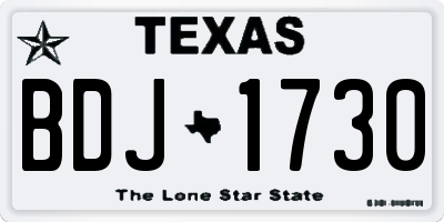TX license plate BDJ1730