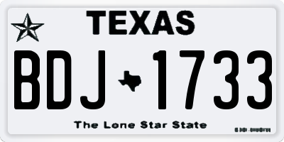 TX license plate BDJ1733