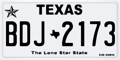 TX license plate BDJ2173