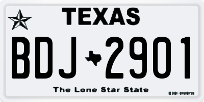 TX license plate BDJ2901