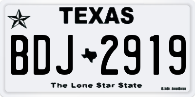 TX license plate BDJ2919