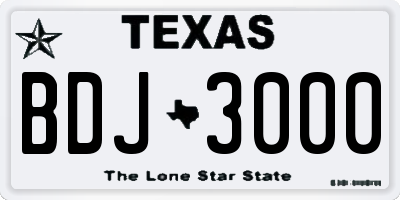 TX license plate BDJ3000