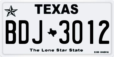 TX license plate BDJ3012