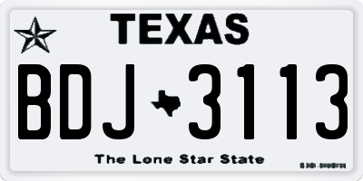 TX license plate BDJ3113
