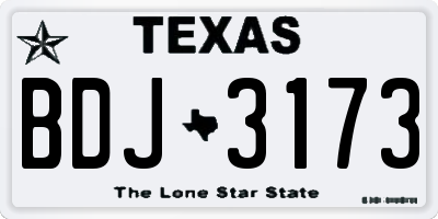 TX license plate BDJ3173
