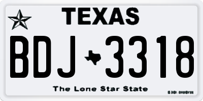 TX license plate BDJ3318