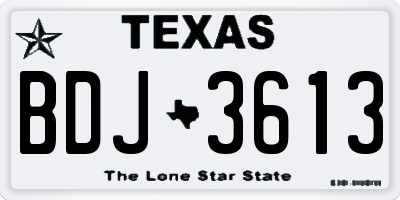 TX license plate BDJ3613
