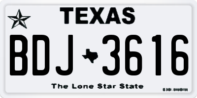 TX license plate BDJ3616