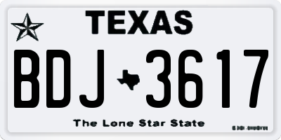 TX license plate BDJ3617