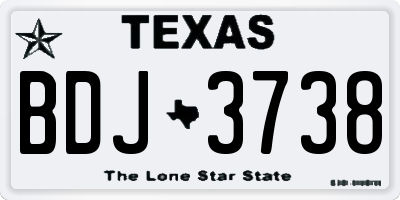TX license plate BDJ3738