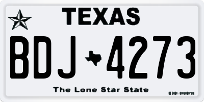 TX license plate BDJ4273