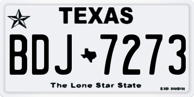 TX license plate BDJ7273