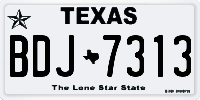 TX license plate BDJ7313