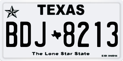 TX license plate BDJ8213
