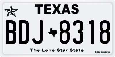 TX license plate BDJ8318