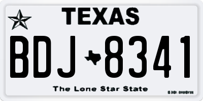 TX license plate BDJ8341