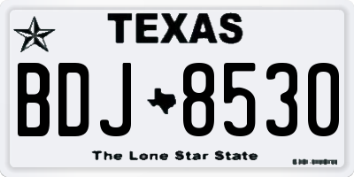 TX license plate BDJ8530