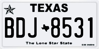 TX license plate BDJ8531