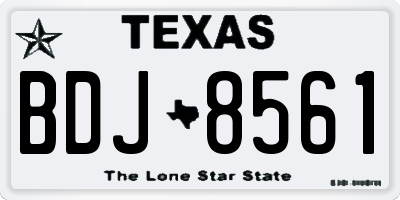 TX license plate BDJ8561
