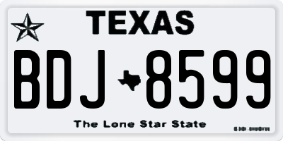 TX license plate BDJ8599
