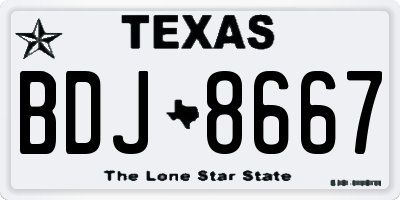 TX license plate BDJ8667