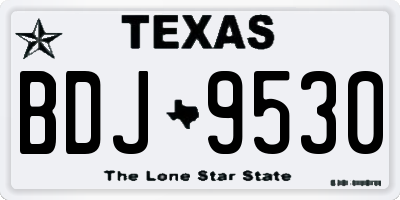 TX license plate BDJ9530