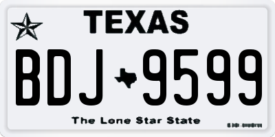 TX license plate BDJ9599