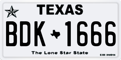 TX license plate BDK1666