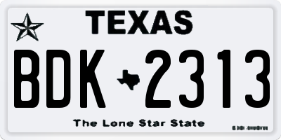 TX license plate BDK2313