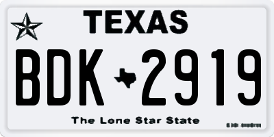 TX license plate BDK2919